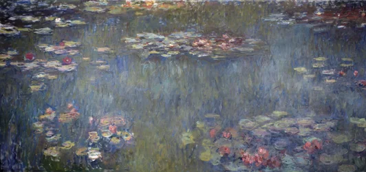 Nenúfares Estanque, Reflejo Verde
