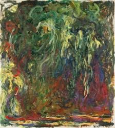 Sauce llorón, 1920-1922