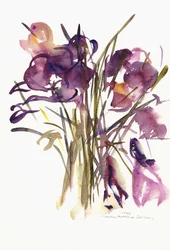 Azafrán, 2003