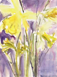 Narcisos, 2004