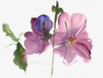 Malvarrosas, 1988