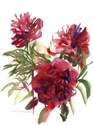 Peonías, 2002