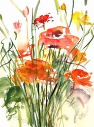 Ranúnculos, 2001