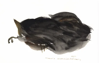 Gato durmiendo, 1985