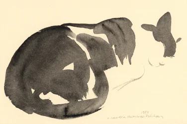 Gato durmiendo, 1984