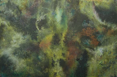 Texturas orgánicas y terrosas