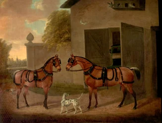 Carruajes, caballos y perros