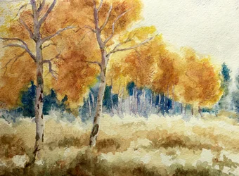 Álamos otoñales en los Tetons, 2011 (acuarela)