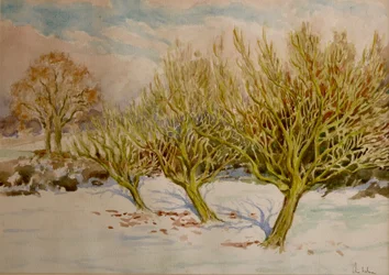El huerto, sol de enero, 2000 (acuarela)