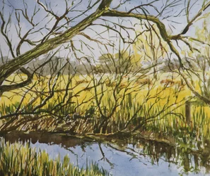 Water Meadows, Kintbury, a principios de mayo por la tarde