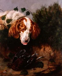 Recién Disparado - Spaniel con un Urogallo Muerto