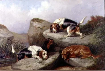 Perros de nutria, 1889