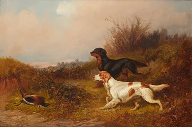 Perros de caza en acción
