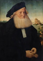 Retrato de un caballero con barba