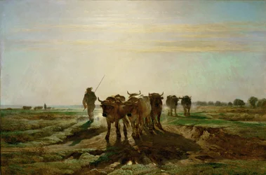 Boeufs se rendant au travail - ganado caminando al trabajo, mañana. 1855 ...