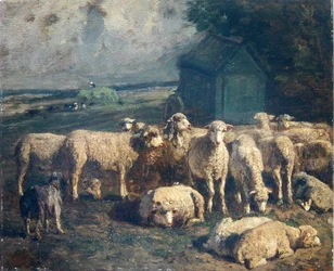 Rebaño de ovejas