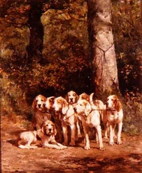 Perros de caza en un paisaje boscoso