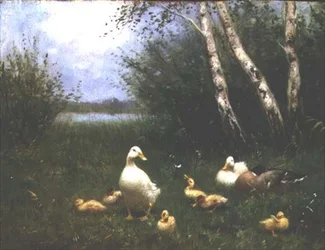 Patos con patitos (óleo sobre lienzo)