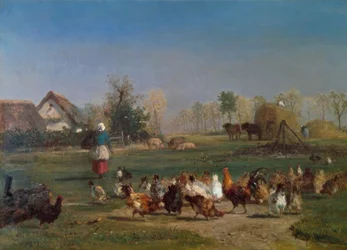 Alimentando a las gallinas