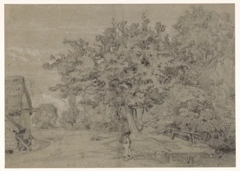 Árbol viejo cerca de una granja