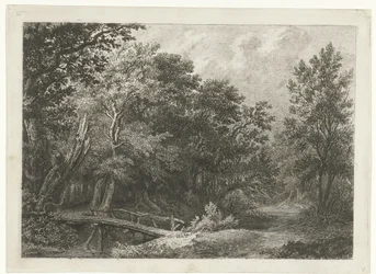 Vista al bosque con puente de madera