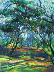 Sendero boscoso salpicado de luz