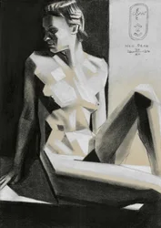 Elegante desnudo geométrico