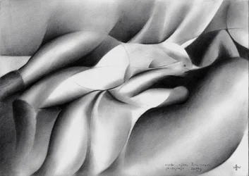 Estudio de una figura en movimiento