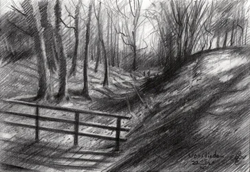 Boceto de un sendero forestal
