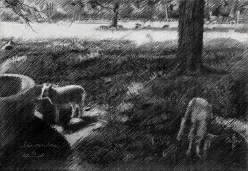 Boceto de ovejas en un prado a la sombra