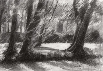 Tranquilo sendero por el bosque