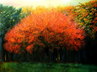 Árbol otoñal lleno de colorido