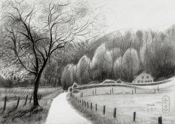 Camino rural sinuoso