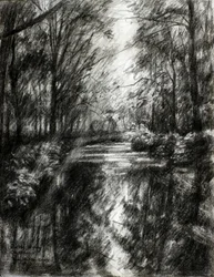 Sendero sinuoso por el bosque