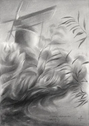 Molinos de viento y cañas: serenidad