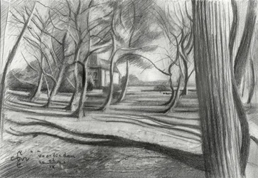 Sombras del bosque invernal