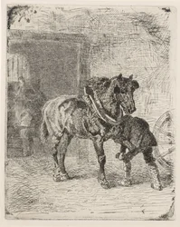 Caballo obtiene herraduras en una fragua