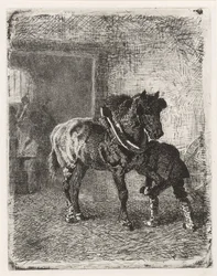 Caballo obtiene herraduras en una fragua