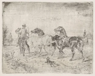 Jinetes con caballos