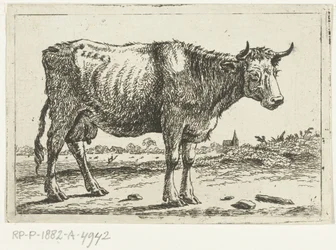 paisaje con vaca