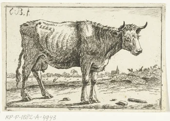 paisaje con vaca
