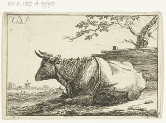 Paisaje con vaca acostada con tapa trasera