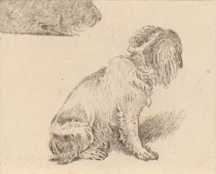 Perro sentado