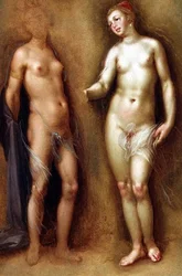 Estudio de dos desnudos femeninos