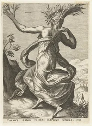 Dafne Diosas y ninfas (título de la serie)