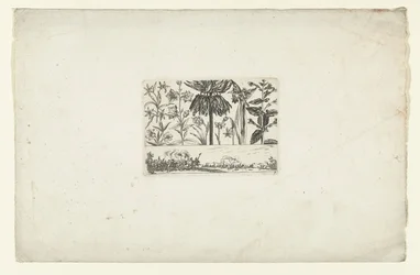 Fila de flores sobre el paisaje Flores y paisajes (título de la serie)