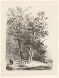 Dos figuras caminando en un bosque