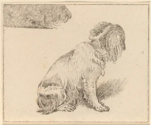 Perro sentado