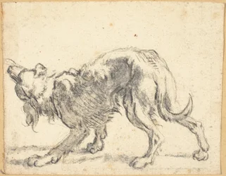 Un perro