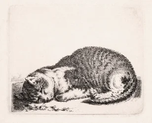 Gato durmiendo, c.1607-81